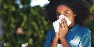 How Sea Moss Relieves Allergy Symptoms