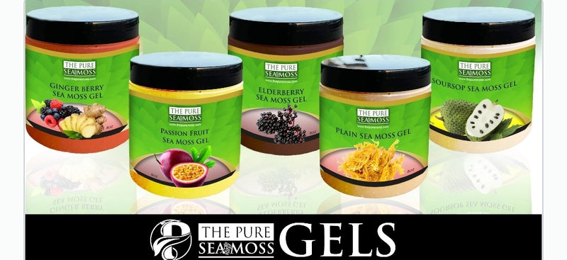 12-Jar Sea Moss Gel Wholesale Bundle